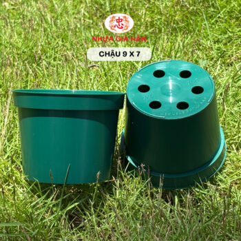 CHẬU NHỰA 9X7 - Ảnh 5