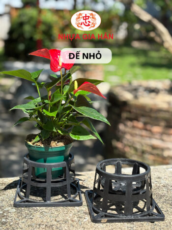 ĐẾ NHỎ 16X16 - Ảnh 3