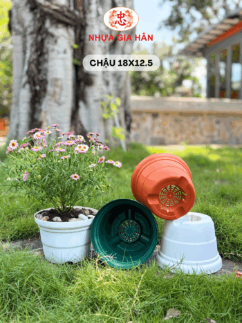 CHẬU NHỰA 18 - Ảnh 4