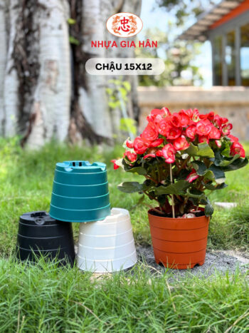 CHẬU NHỰA 15x12 - Ảnh 2