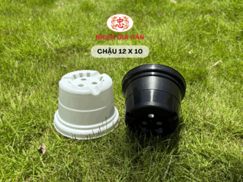 CHẬU NHỰA 12x10 - Ảnh 4